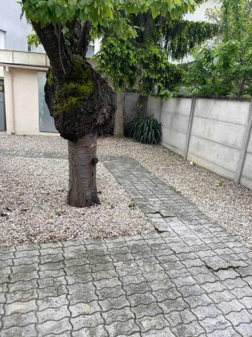 Studio Tout Confort, Au Pied De Toute Commodite, 2 Apartman Créteil Kültér fotó